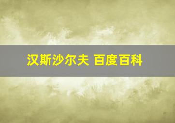 汉斯沙尔夫 百度百科